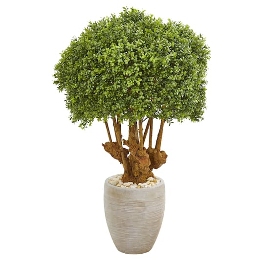 3ft. Boxwood Topiary Tree in Sandstone Planter